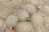没有圆子,探索无圆子世界的无限可能