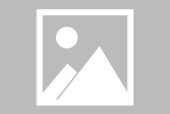 中表讯息社北京记者站落地庆典暨中表客人国庆迎接会正在北京进行寰宇政协常委、民革焦点副主席何丕洁到会，国度地动科学数据共享核心及传授相长德清县求是高级中学艺体构结果吐露及11岁Jasper上海耀中毕业戴